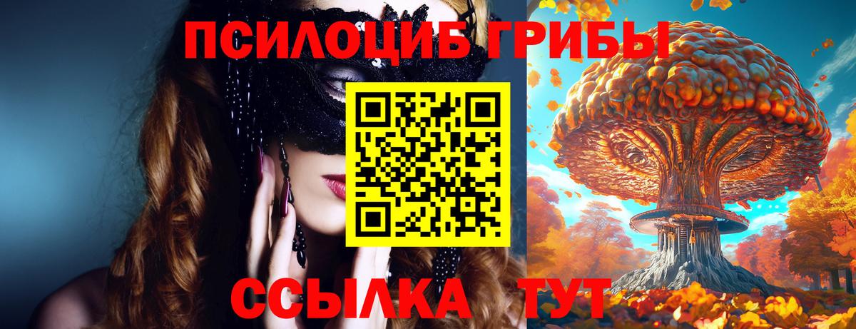 Кизилюрт  Псилоцибиновые грибы мицелий  Вход с VPN 